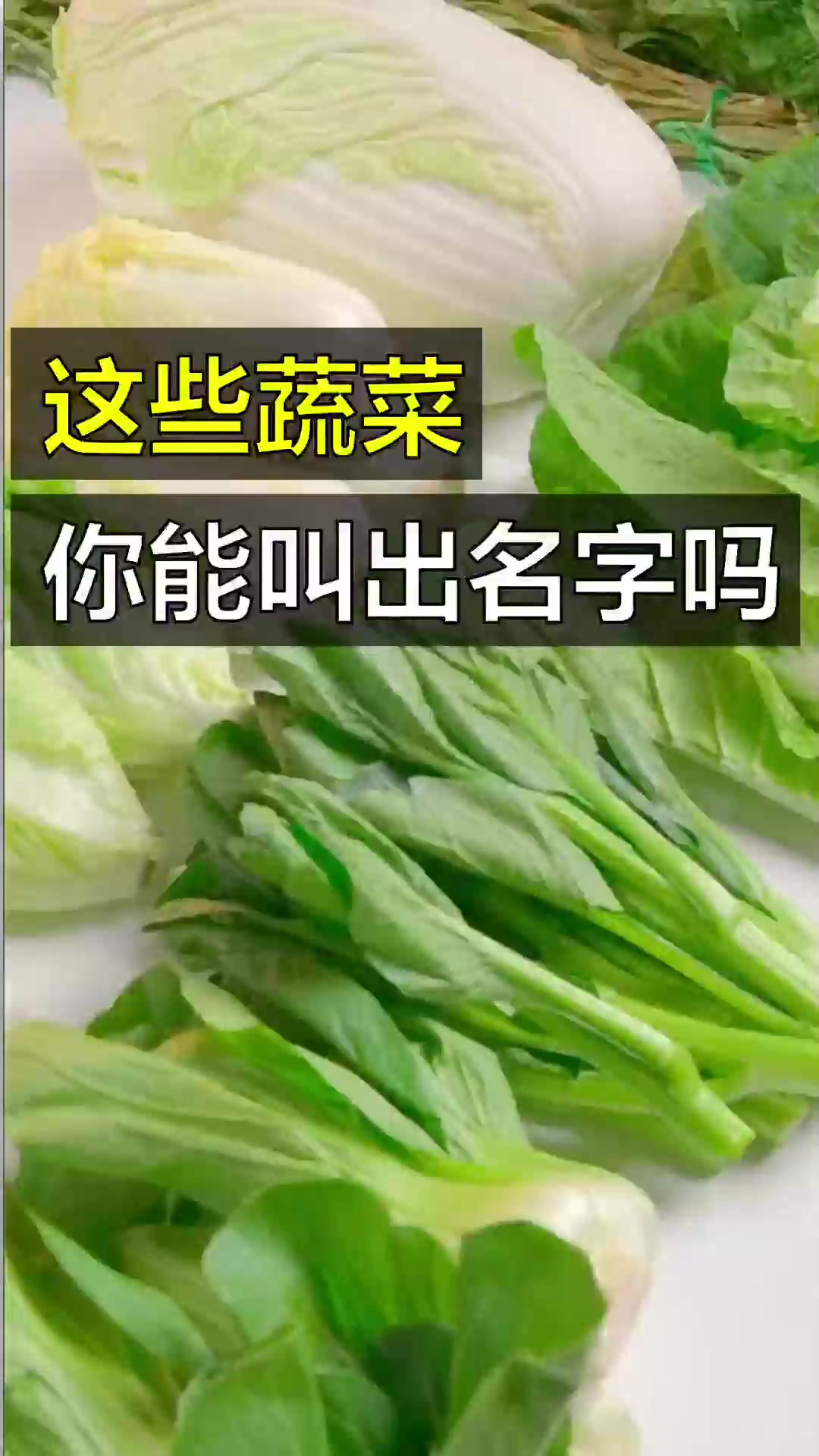 这些“青菜”放你面前,不看名字,你能认出几个?!