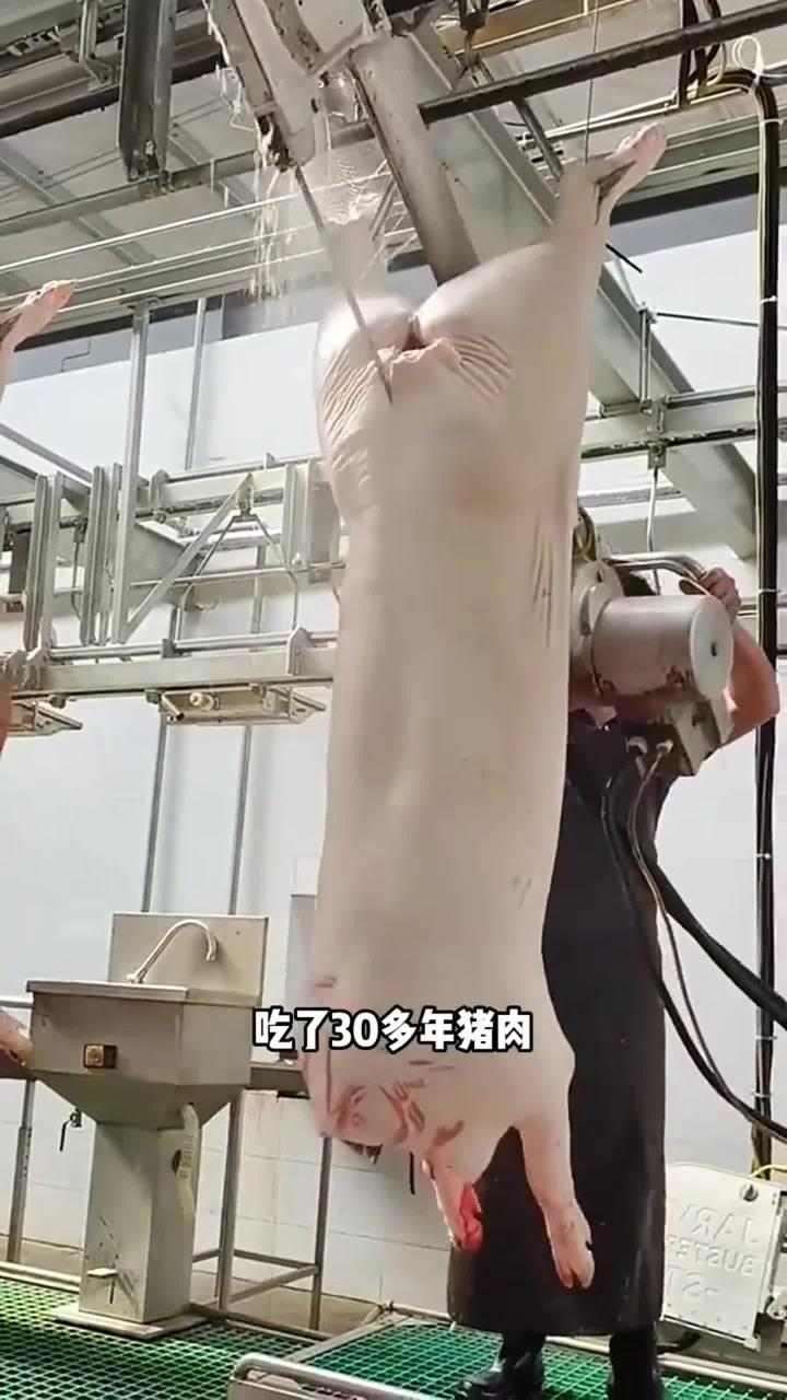原来猪肉都是这么分割的啊