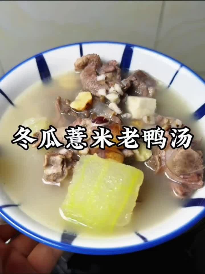冬瓜薏米老鸭汤,一碗清热祛湿的夏日养生汤!