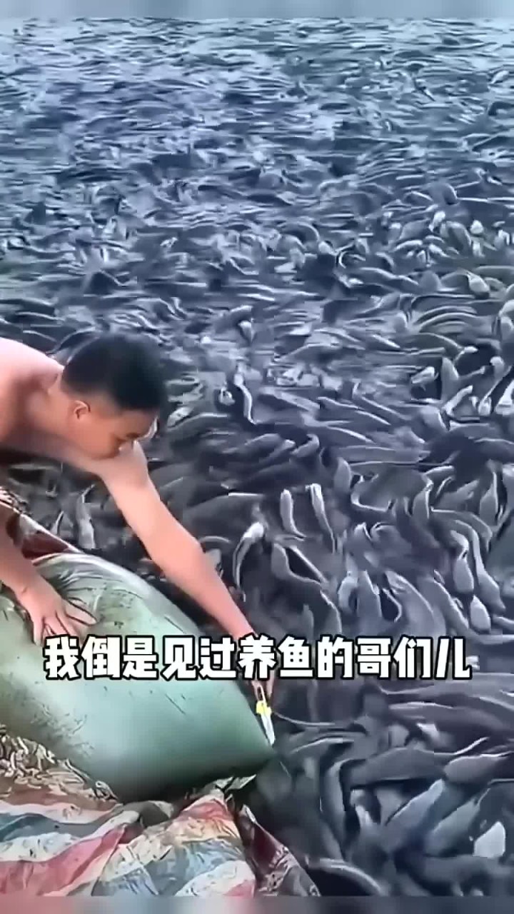 亩产多少斤水