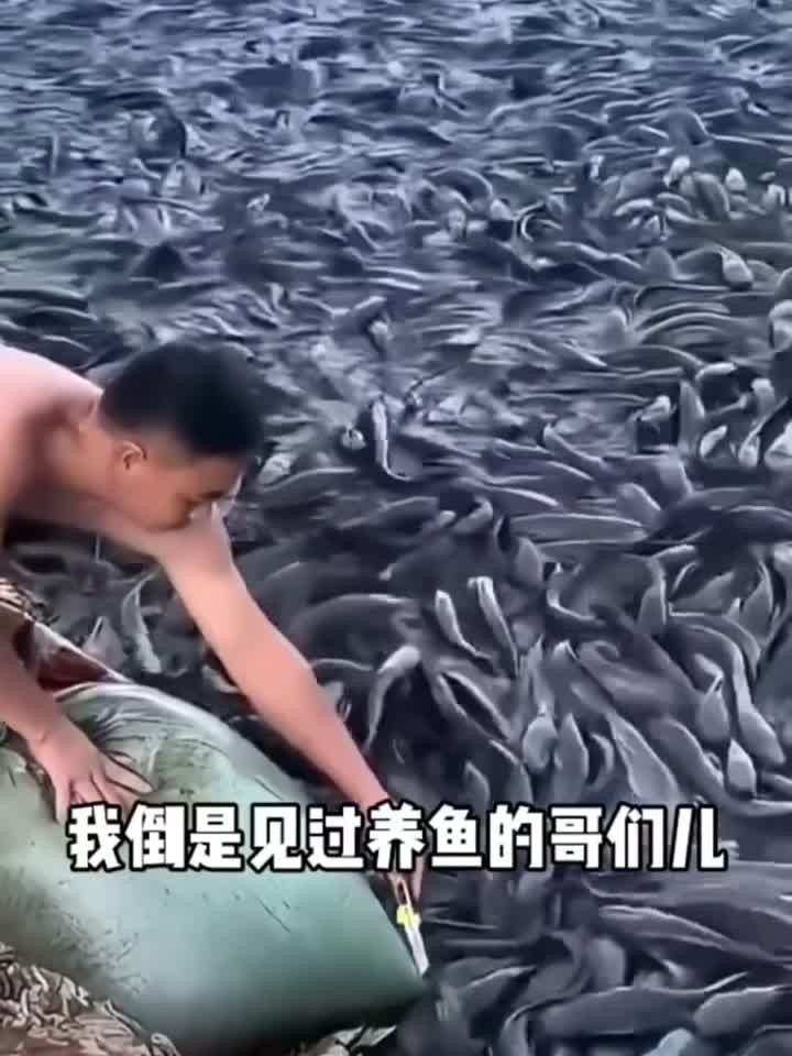亩产多少斤水