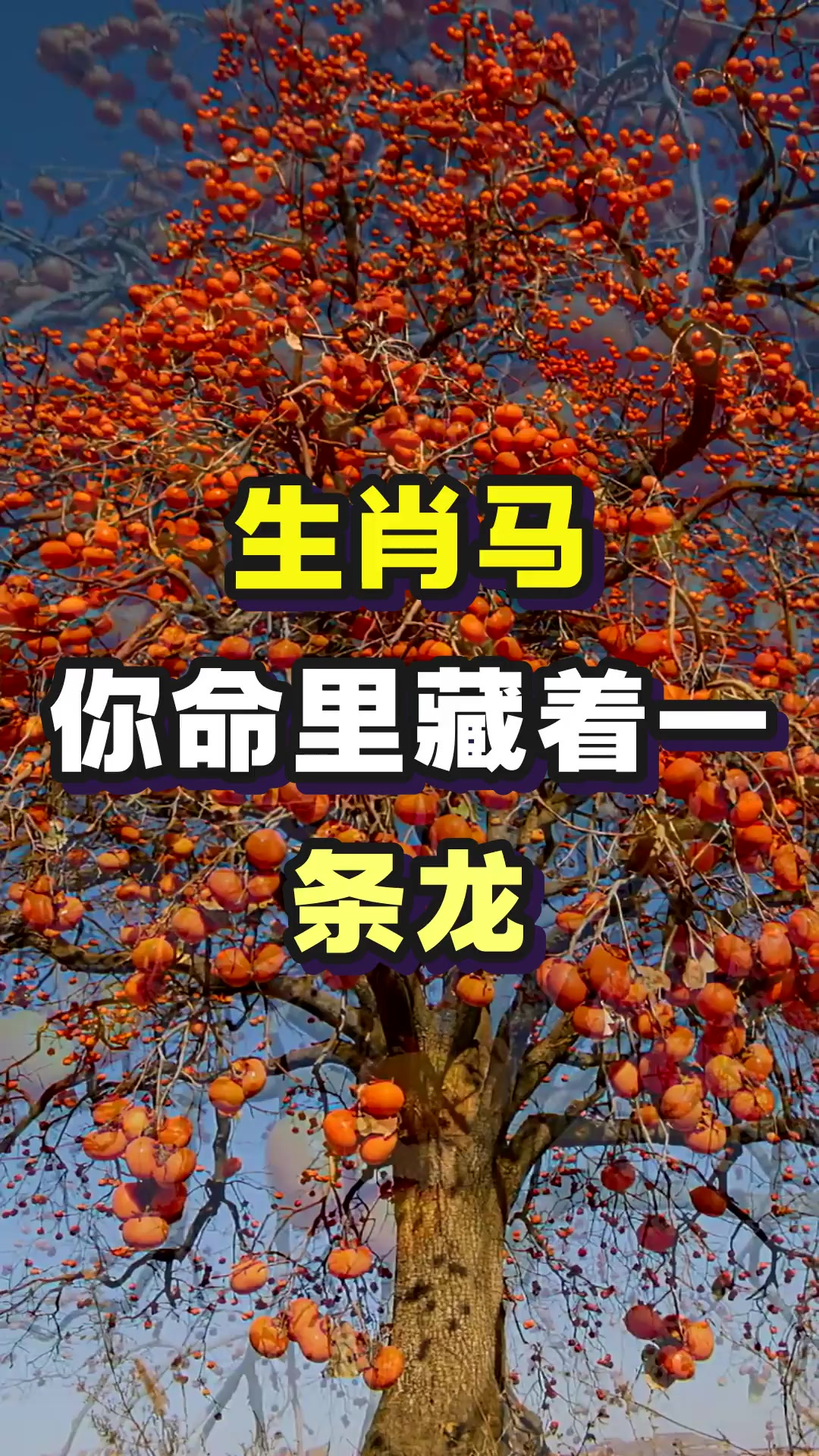 生肖马:你命里藏着一条龙!即将破土而出给你带来天大福运!