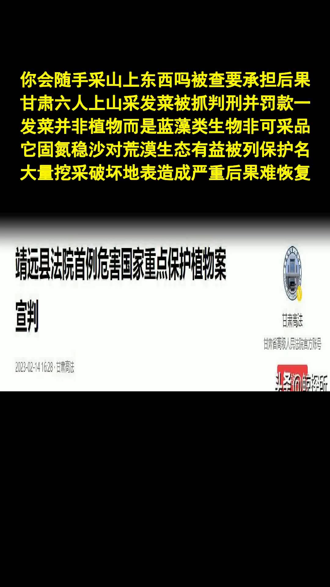 发菜涉法警示蓝藻非采品保护名录必辨识-法律解读