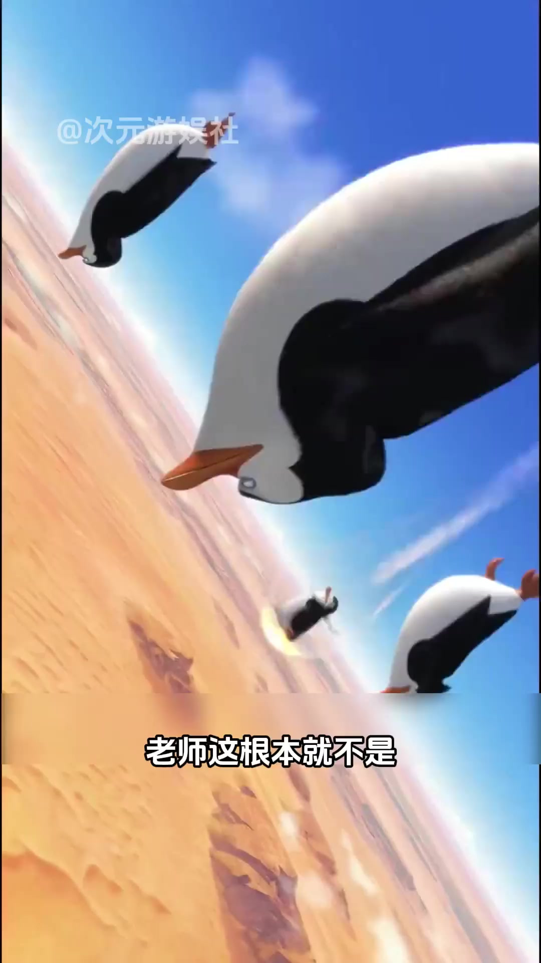 为我们马达加斯加企鹅正名!