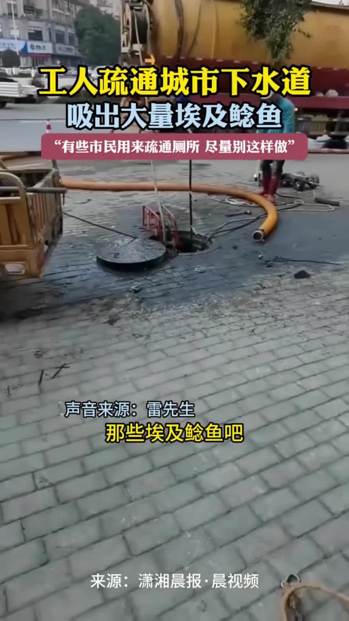 工人疏通城市下水道 吸出大量埃及鲶鱼 “有些市民用来疏通厕所 尽量别这样做”