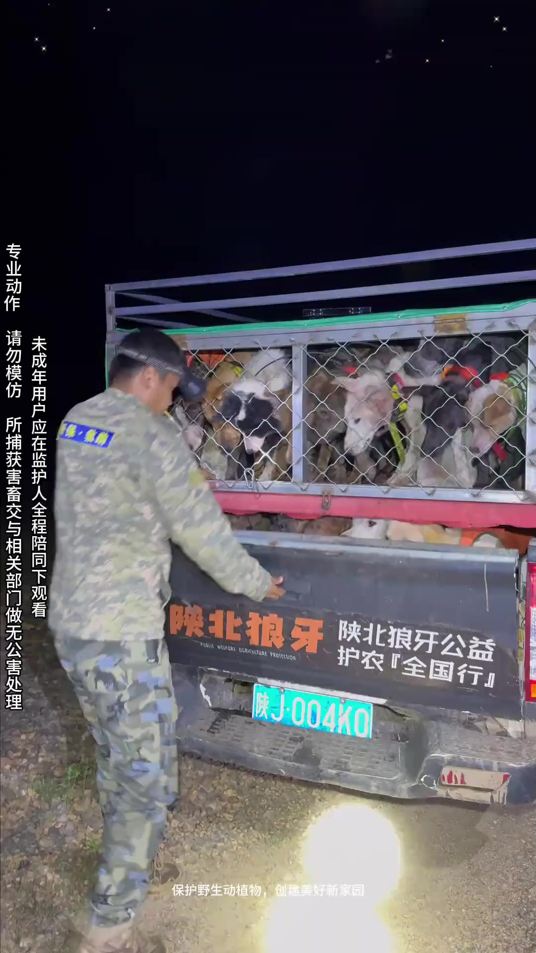 机油手矿长手刃佩奇,单挑王壮壮持续发光。