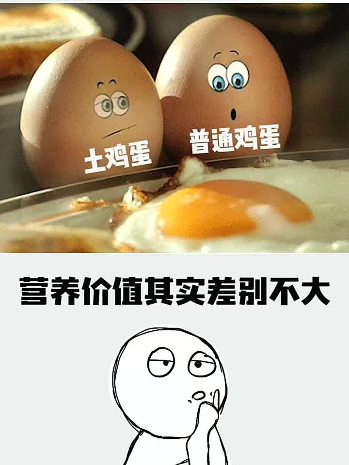 益生:你能分清土鸡蛋和饲料鸡蛋吗?