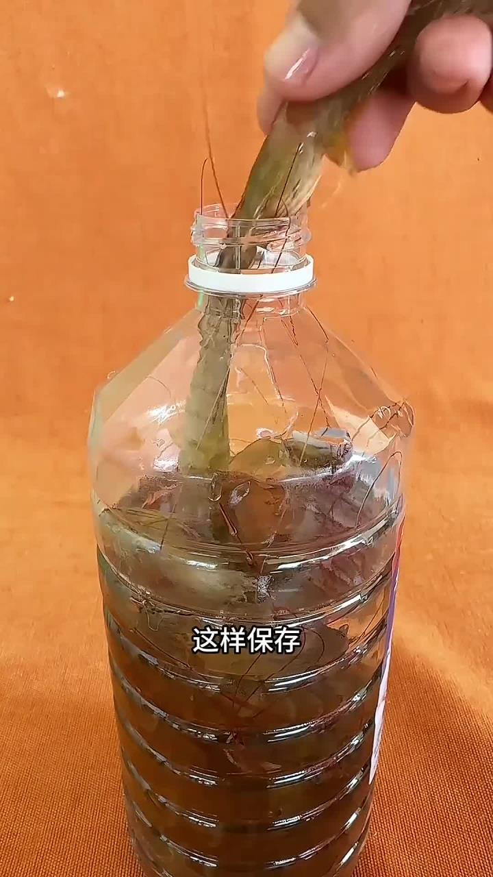保存大虾正确的方法