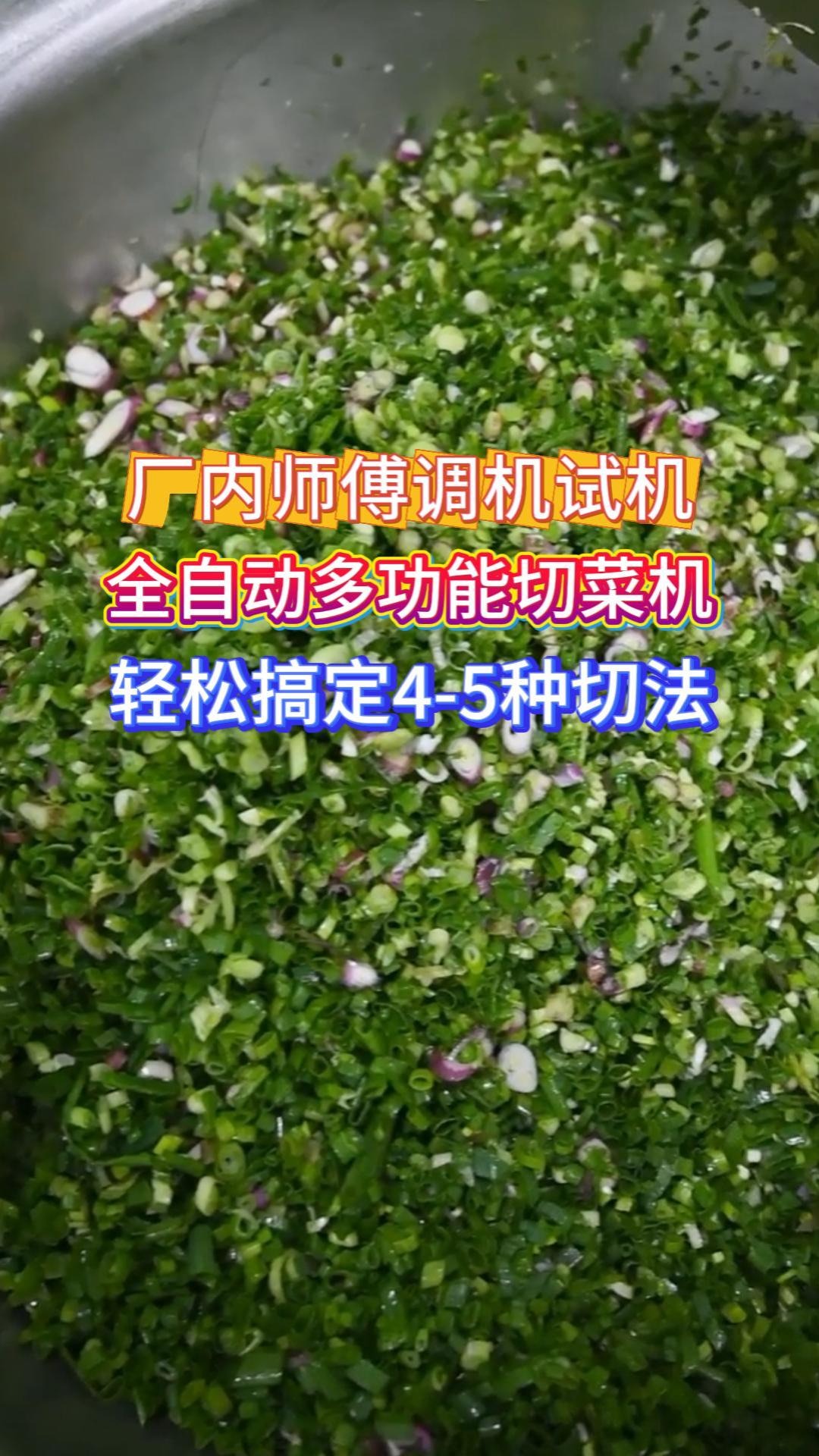 多功能切菜机 切片切丝切丁自由换 商用家用都好用