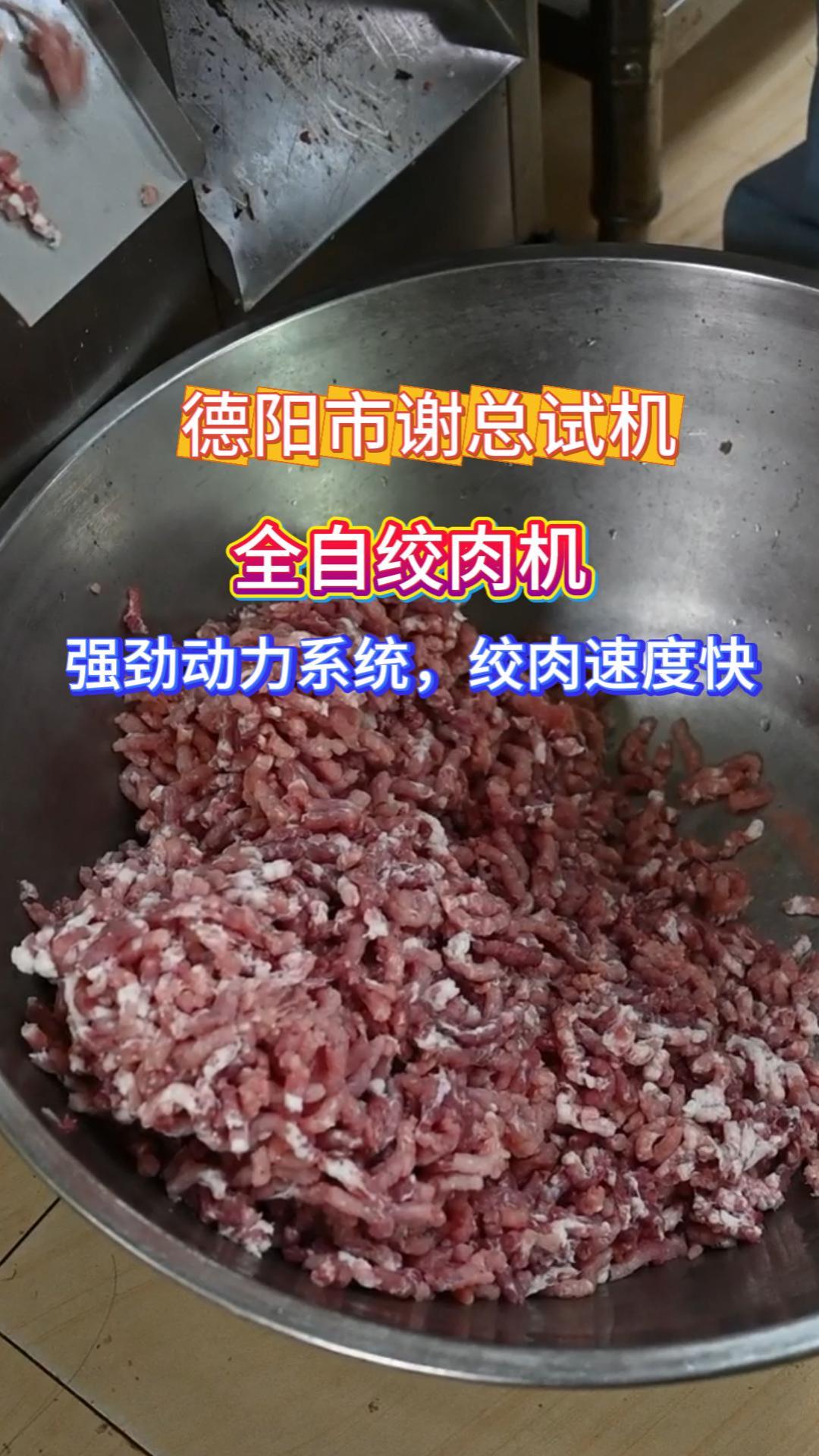 全自动绞肉机 多功能碎肉灌香肠机