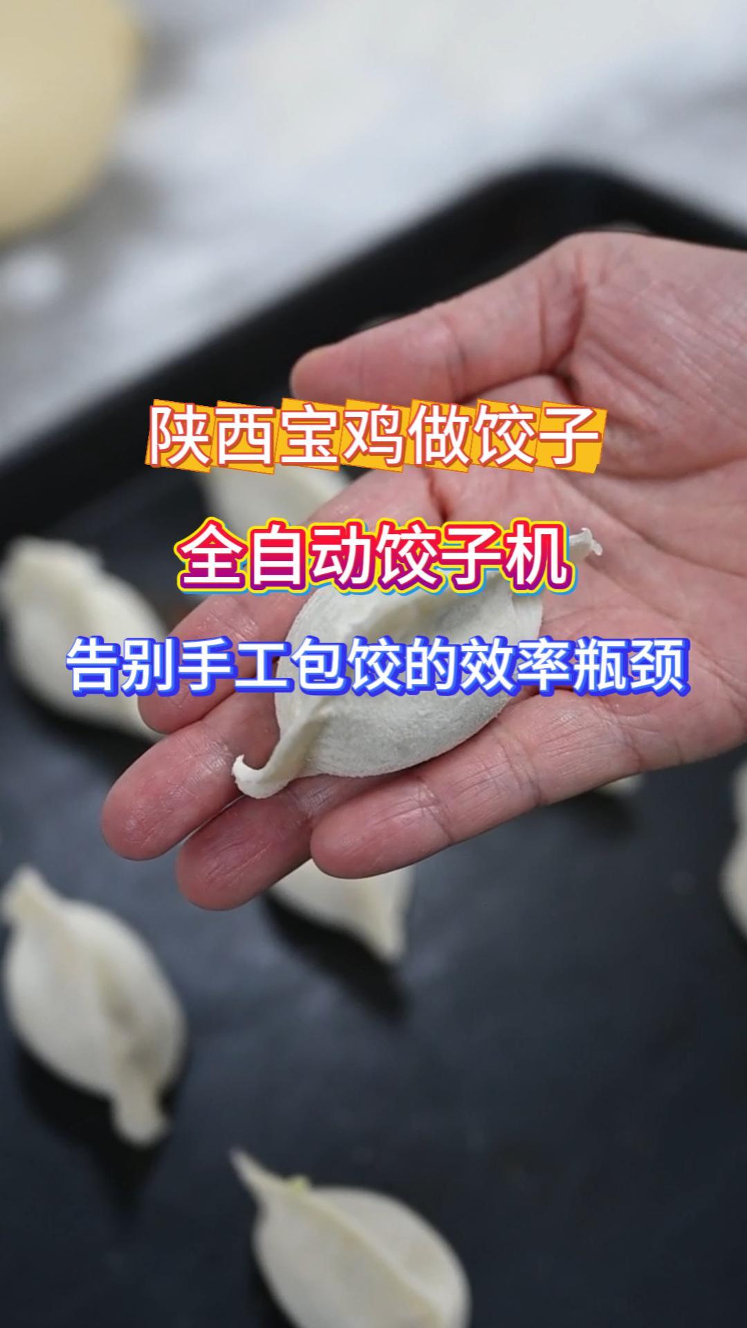 食堂工地专用饺子机 稳定出饺商用面点成型机