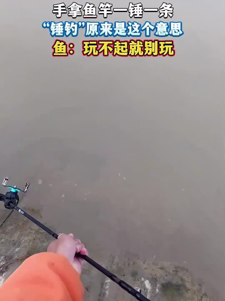 手拿鱼竿一锤一条,“锤钓”原来是这个意思鱼:玩不起就别玩