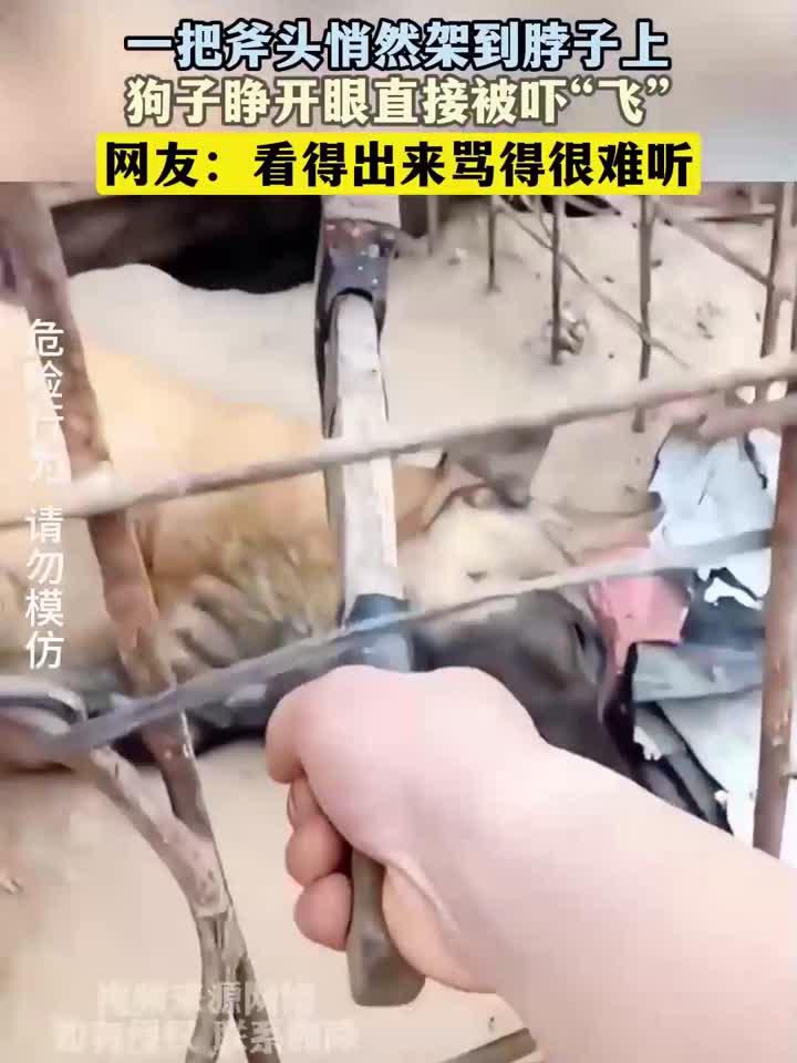 一把斧头悄然架到脖子上,狗子睁开眼直接被吓“飞”