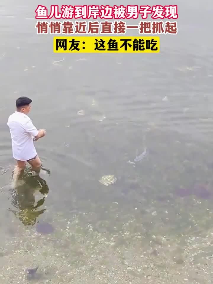 鱼儿游到岸边被男子发现,悄悄靠近后直接一把抓起