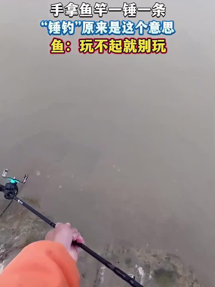 手拿鱼竿一锤一条,“锤钓”原来是这个意思鱼:玩不起就别玩