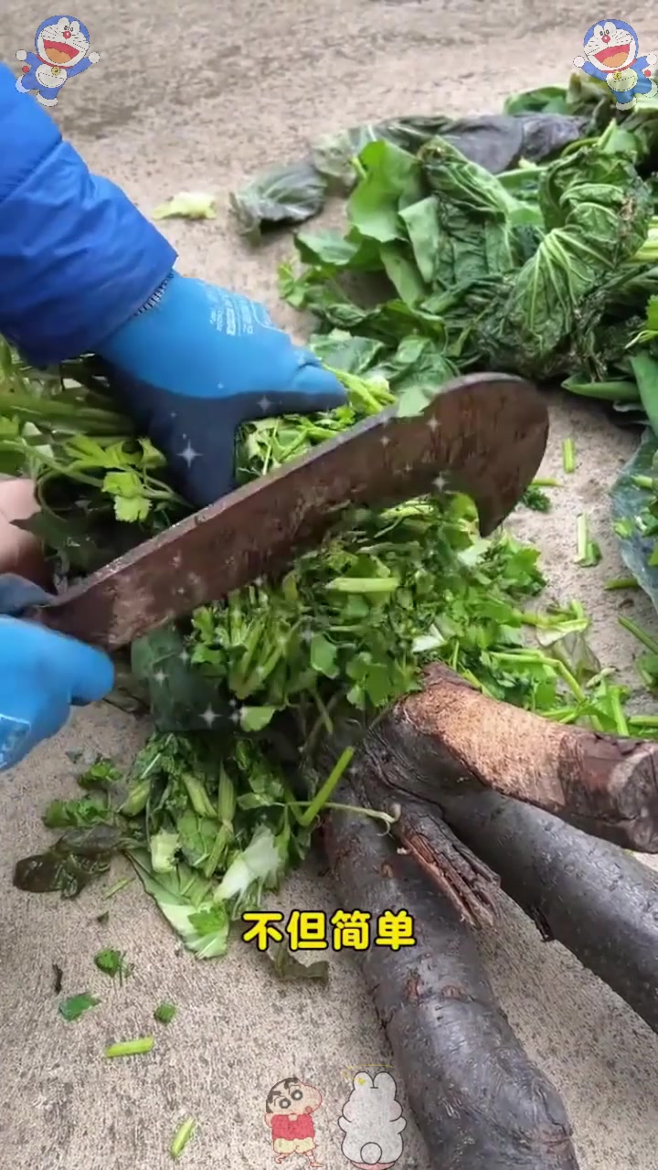  不用费钱买肥料，烂菜叶子自制堆肥，操作简单还不产生异味！