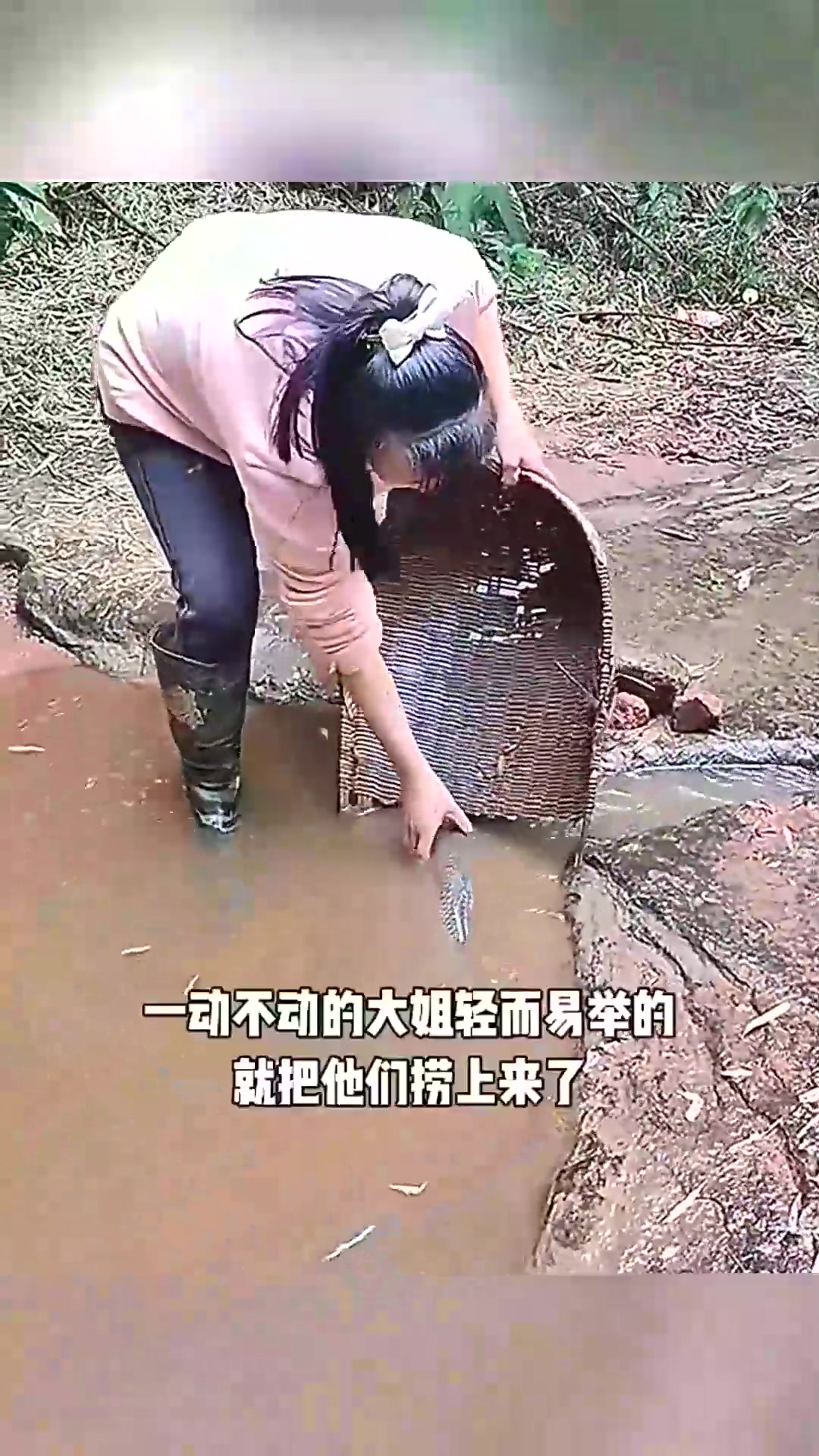  用簸箕捞鱼,太秀了!