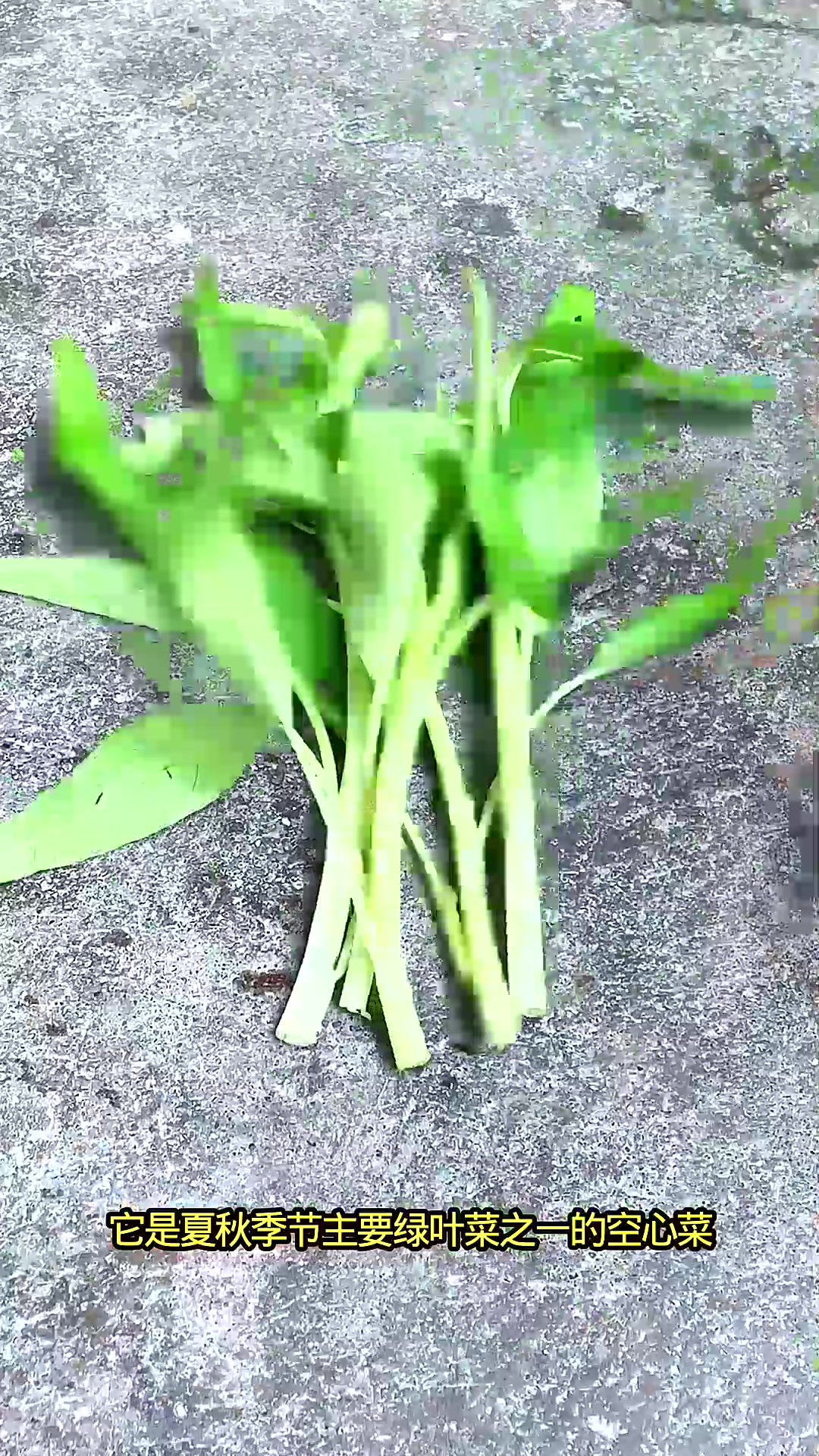  餐桌上常见的普通青菜，空心菜可不简单，你了解吗？