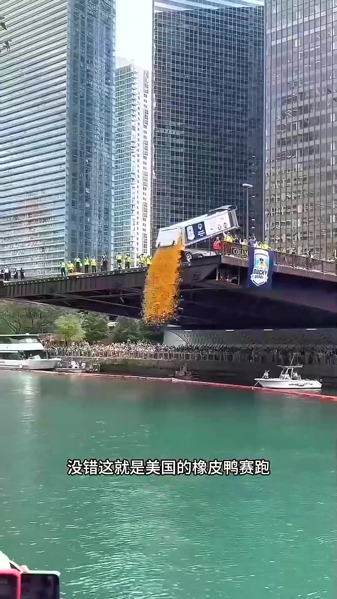  美国的橡皮鸭活动