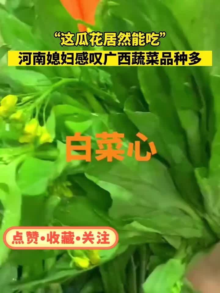 河南媳妇感叹广西蔬菜品种多!