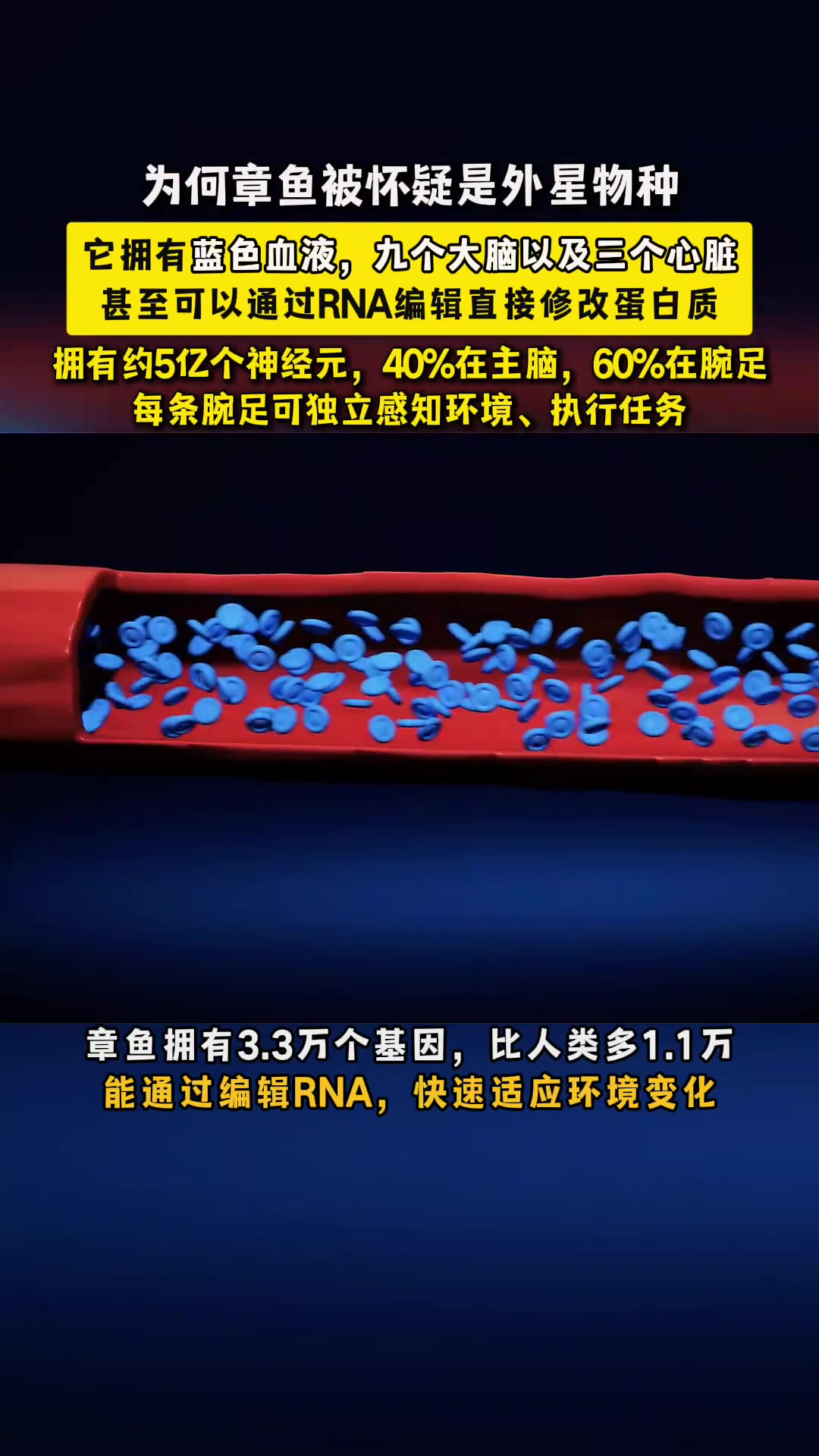 它独特的身体构造,与地球格格不入,甚至被怀疑并非是地球物种