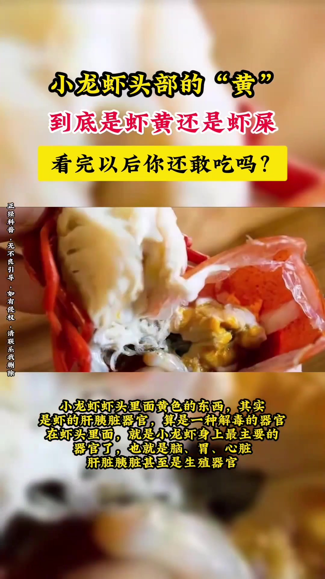 小龙虾头部的“黄”,到底是虾黄还是虾屎?看完以后你还敢吃吗?
