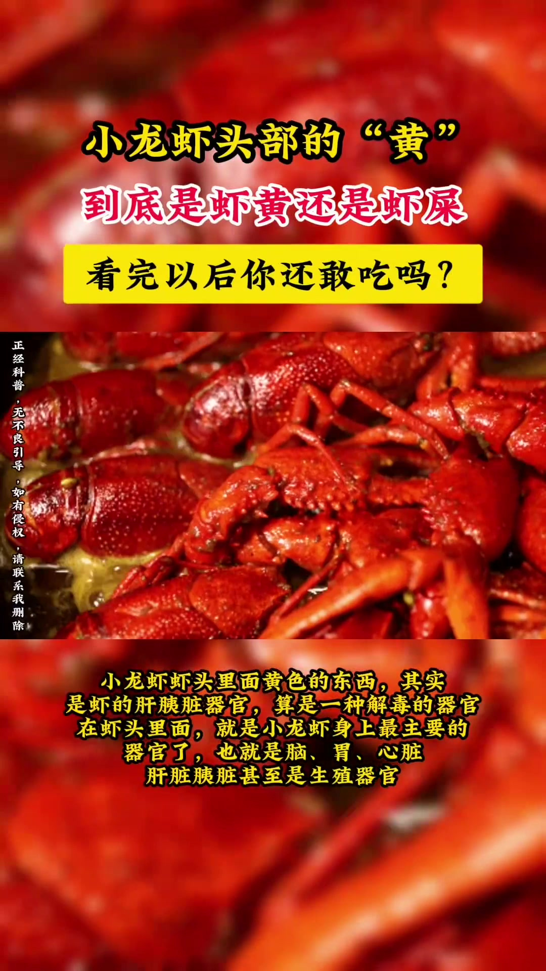 小龙虾头部的“黄”,到底是虾黄还是虾屎?看完以后你还敢吃吗?