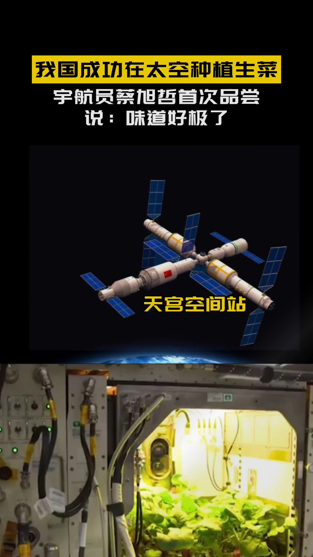 我国成功在太空种植蔬菜,而且味道不比陆地差