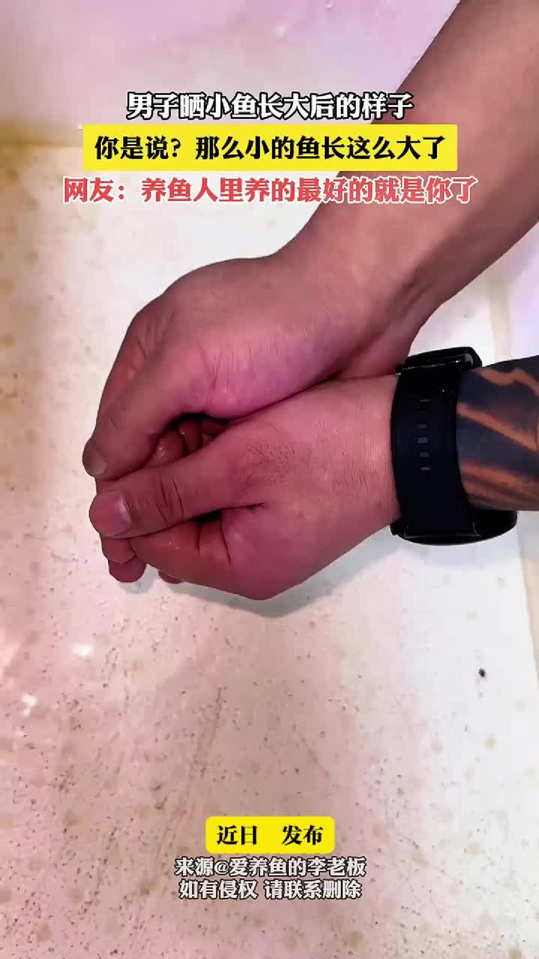 男子晒小鱼长大后的样子,你是说?那么小的鱼长这么大了