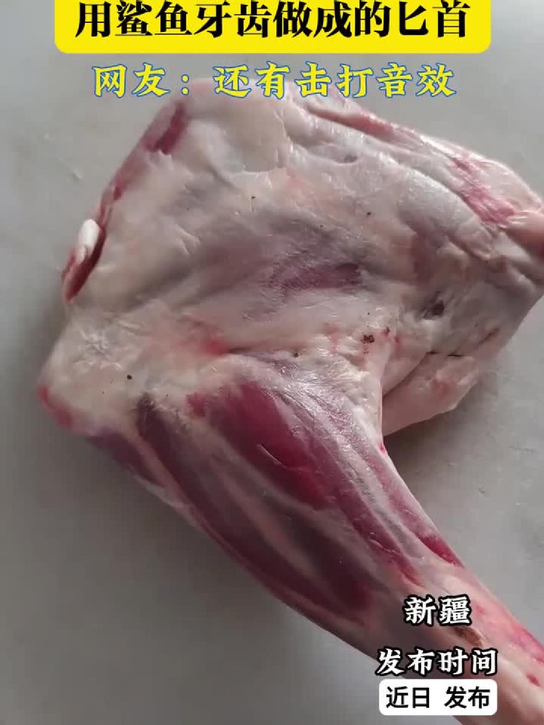 鲨鱼牙齿有多锋利，用鲨鱼牙齿做成的匕首，网友：还有击打音效