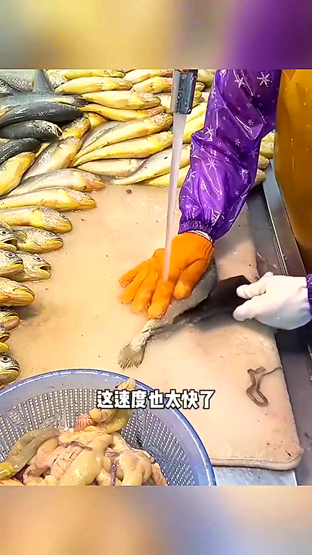  大姐收拾鱼,速度太快了!