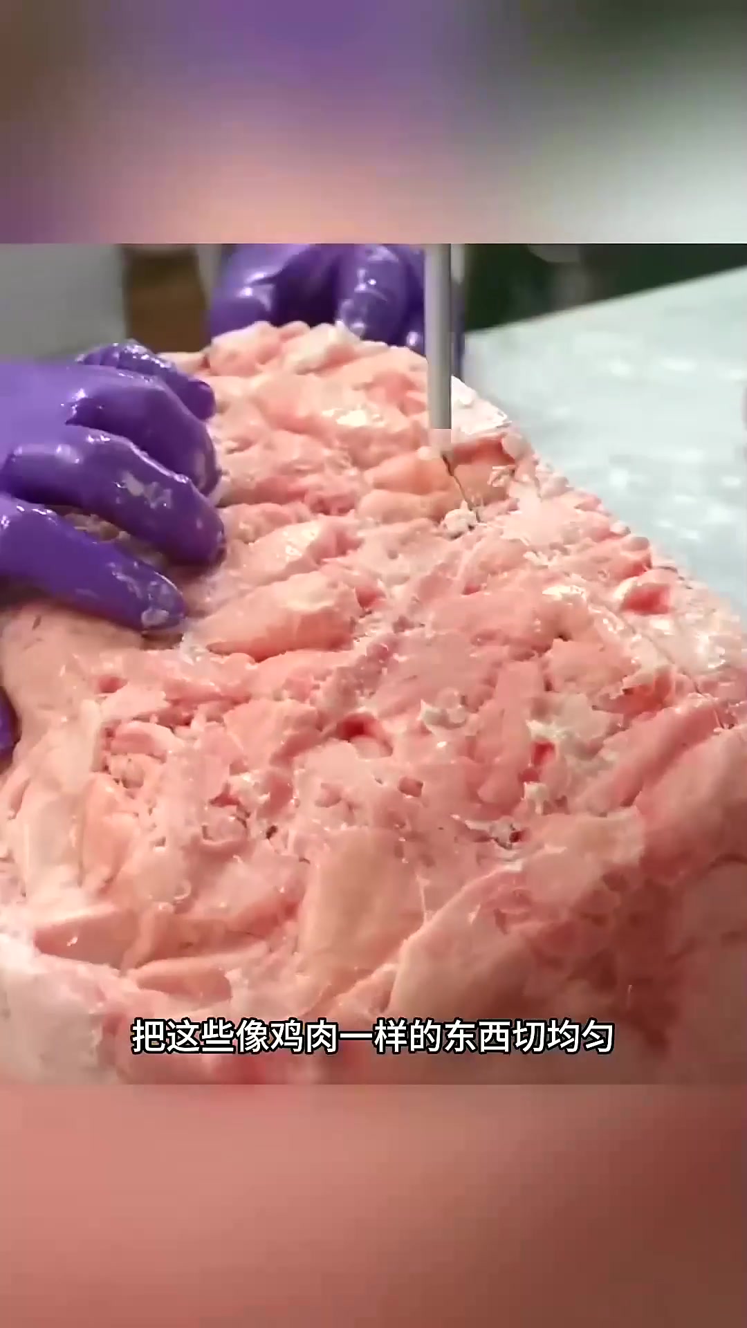  鸡肉肠的制作过程