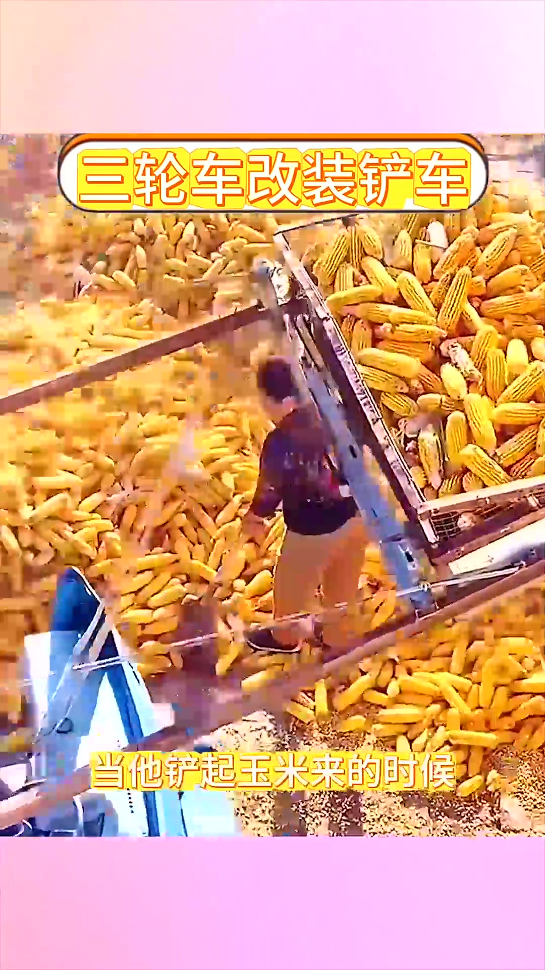  改装的三轮车真是太完美了