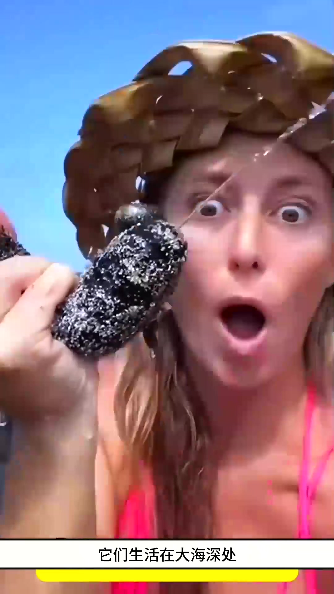  可以吐出内脏的生物