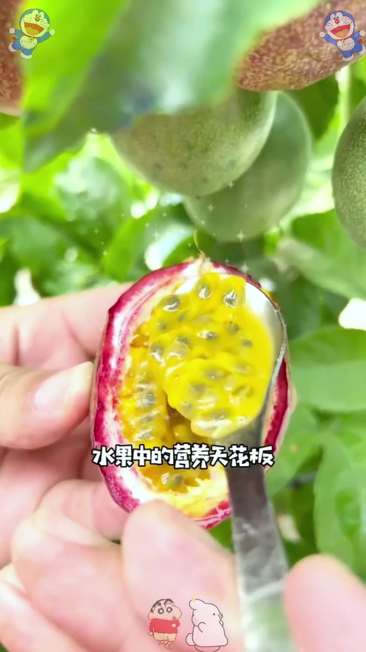  夏天种苗秋天吃果，它就是百香果，又叫“鸡蛋果”水果中的天花板