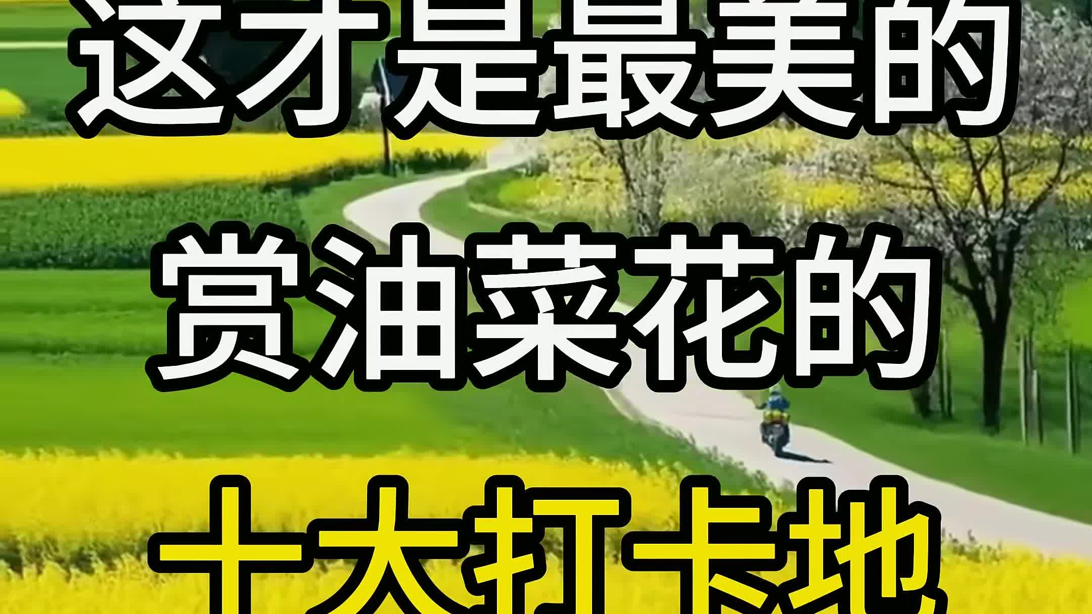 这才是中国最美的十大赏油菜花打卡地,这个春天,你打算和谁一起