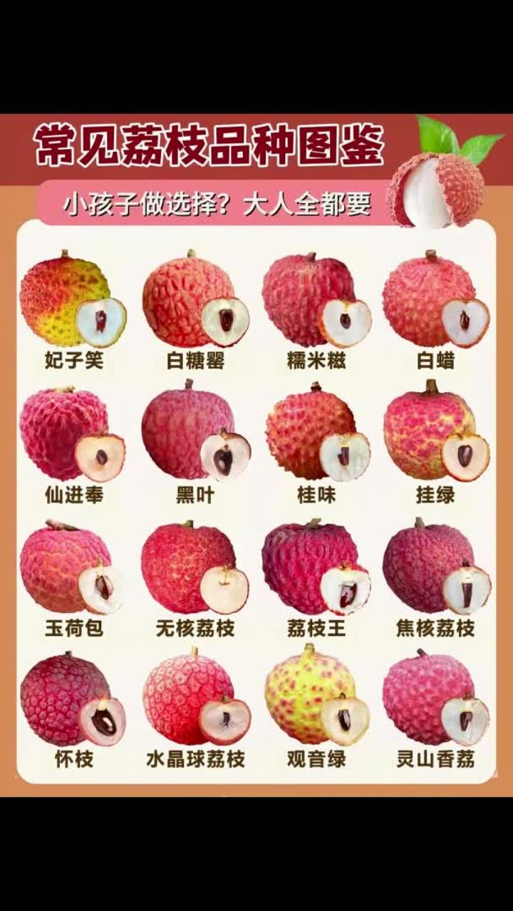 常见的水果品种,平时买哪种?