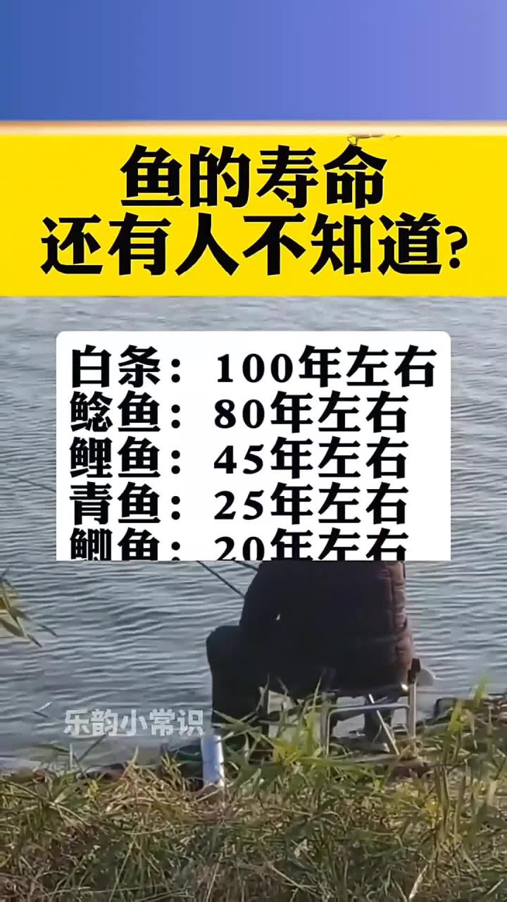 鱼的寿命,还有人不知道吗
