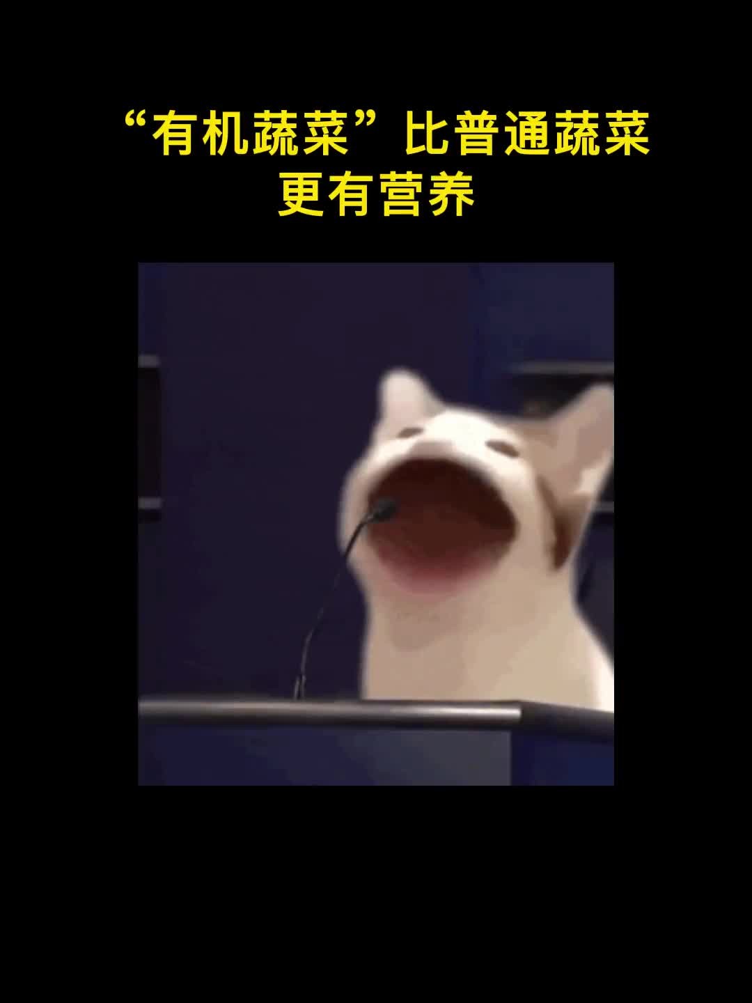 什么是“有机蔬菜”?它真的比普通蔬菜有营养吗?