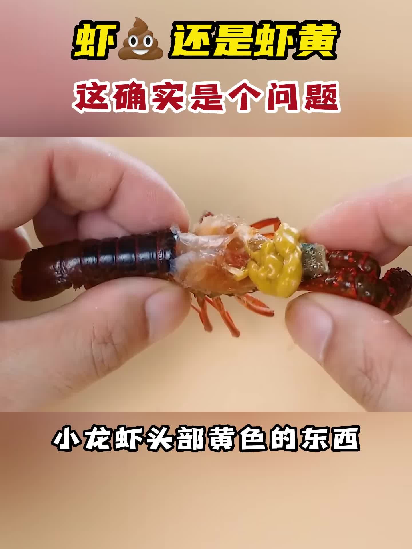 深夜吃小龙虾也得注意啦,起底虾黄到底是什么?