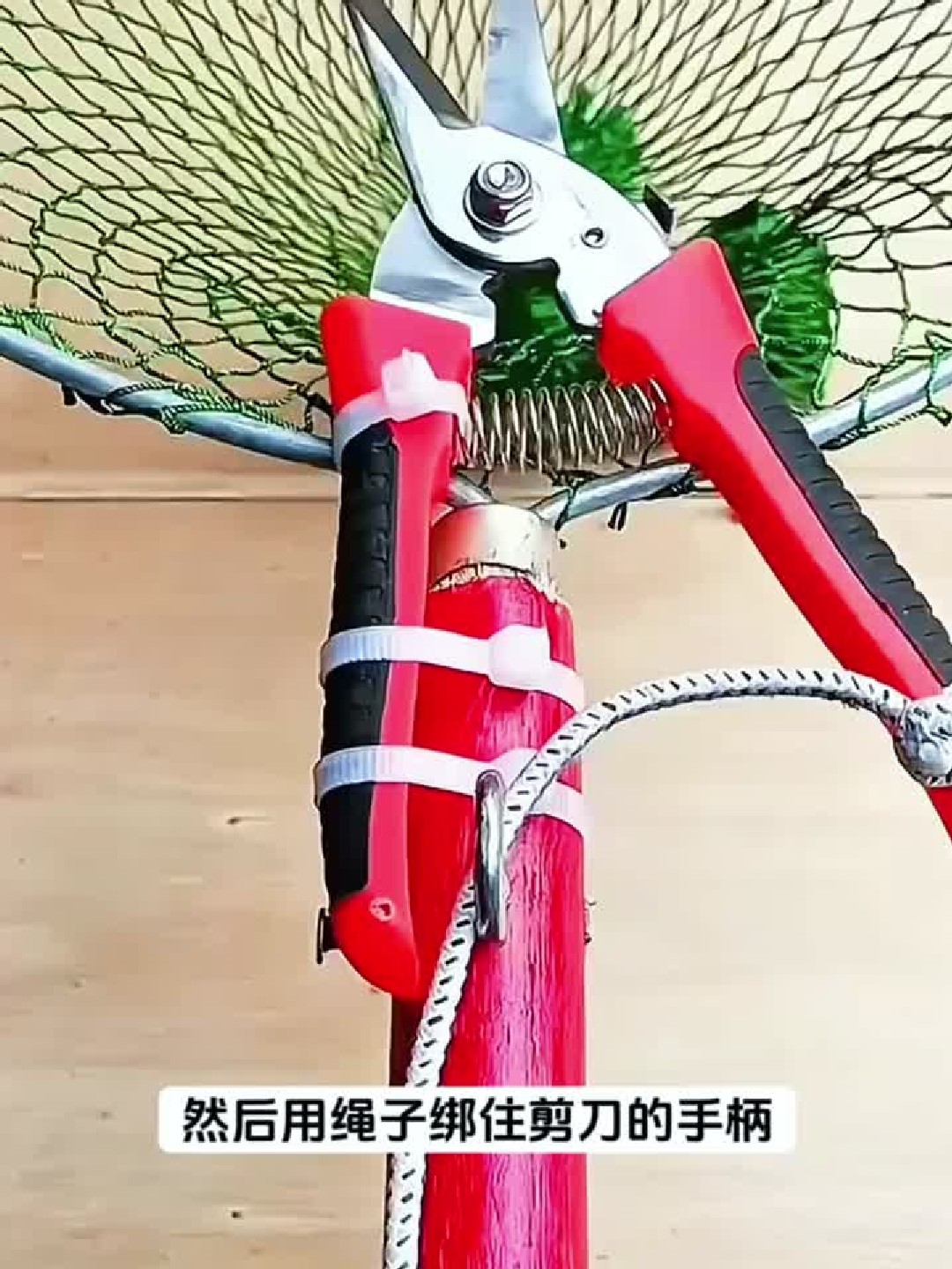 鱼网的妙用