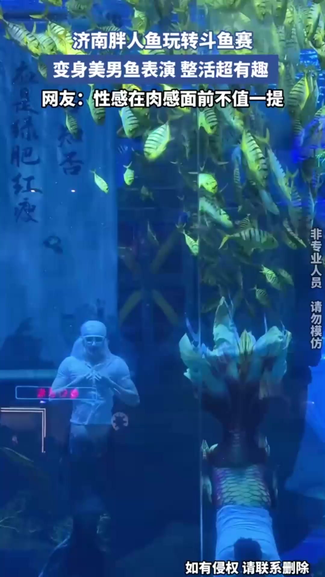 济南胖人鱼玩转斗鱼赛!变身美男鱼表演,整活超有趣