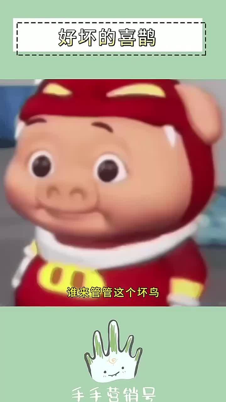 太坏了小鸟