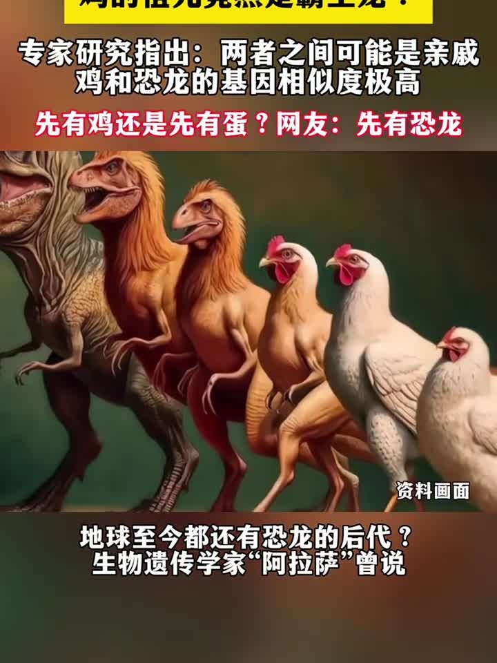 鸡的祖先是曾经的地球霸主?科学家:恐龙并没有完全灭绝