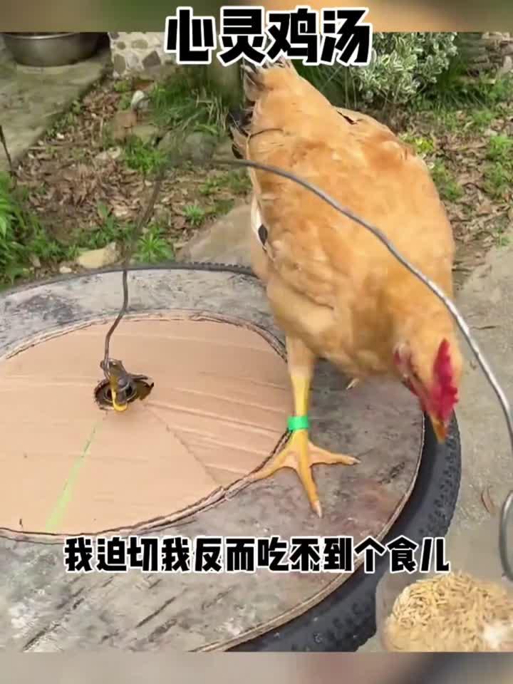 这碗心灵鸡汤我干了,你们随意,别说还挺有道理的