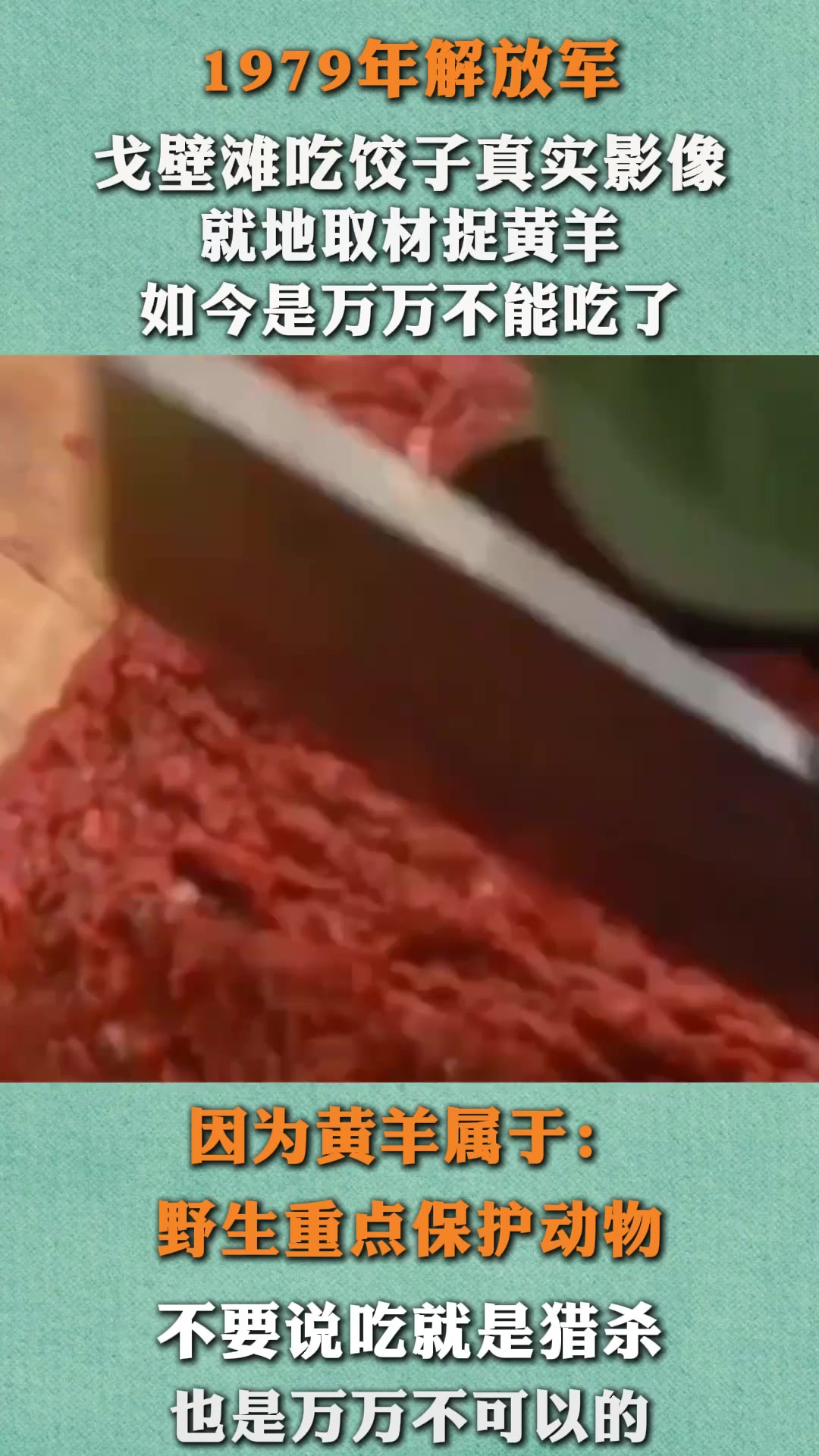 79年解放军吃饺子真实影像,捕捉黄羊当肉馅,如今是万万不能吃了