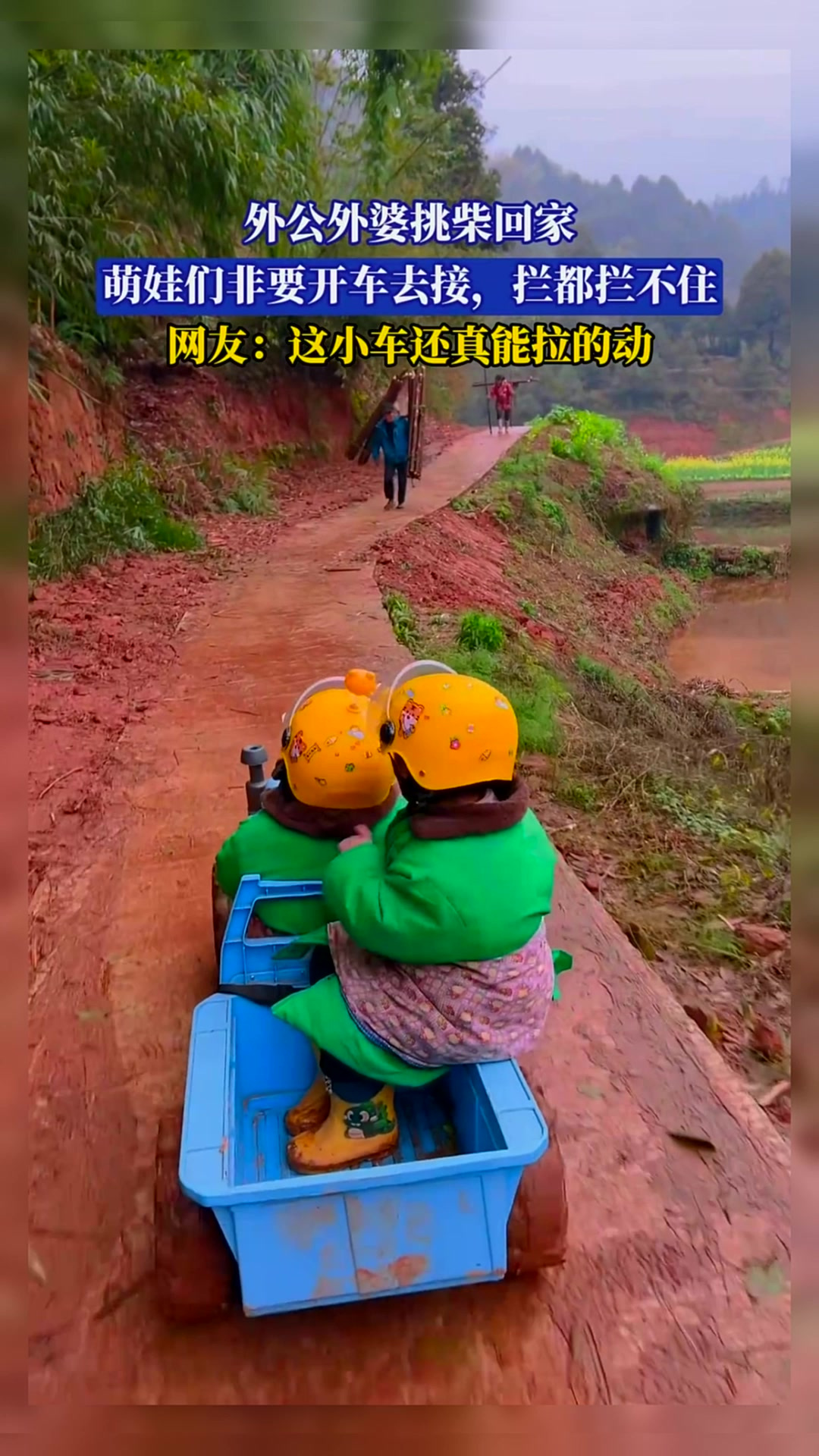 外公外婆挑柴回家,萌娃们非要开车去接,拦都拦不住