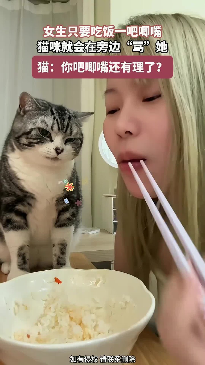 女生只要吃饭,一吧唧嘴,猫咪就会在旁边“骂”她