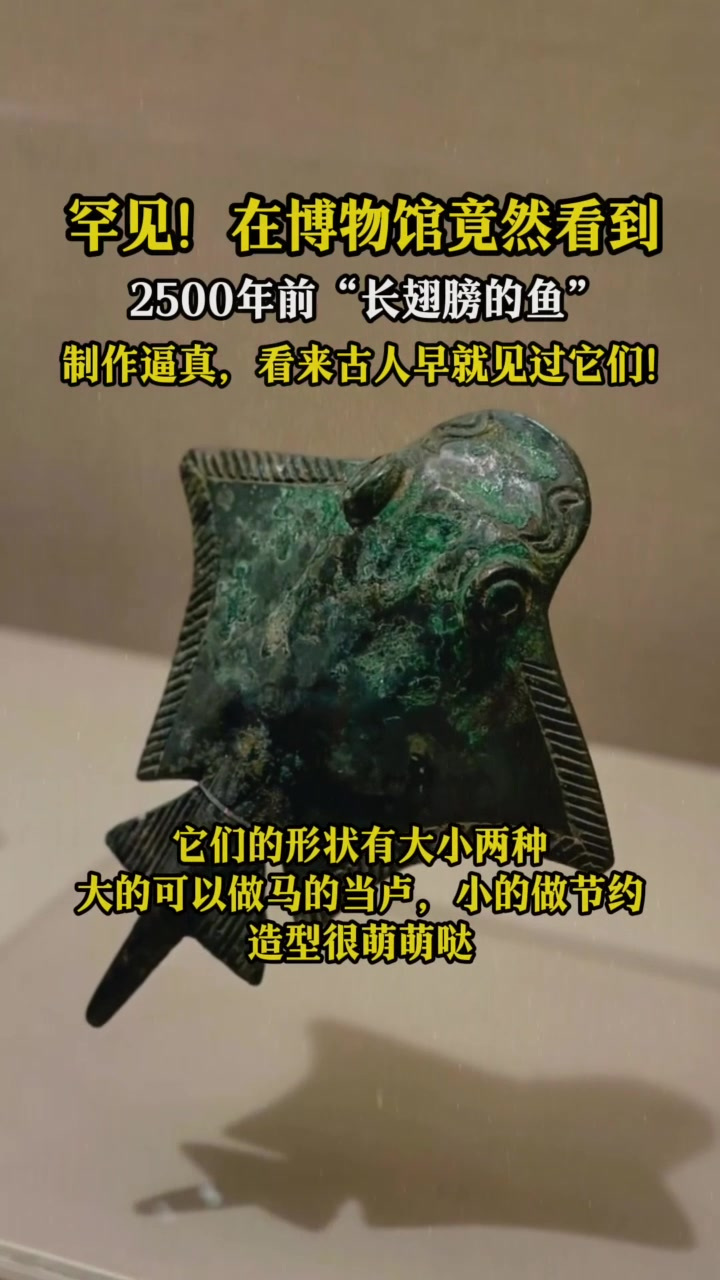 罕见!在博物馆看到2500年前“长着翅膀的鱼”,制作逼真