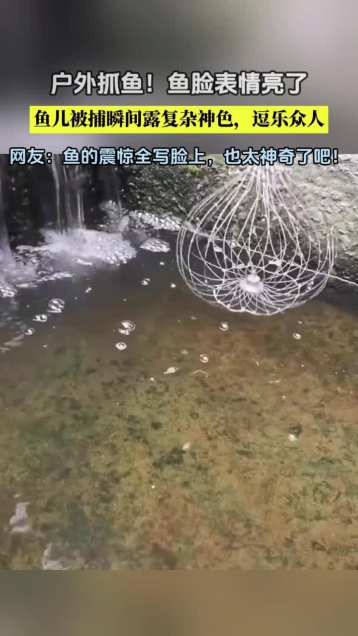 鱼怎么个事网友第一次在鱼的脸上同时看到惊恐惊讶还有不可思议